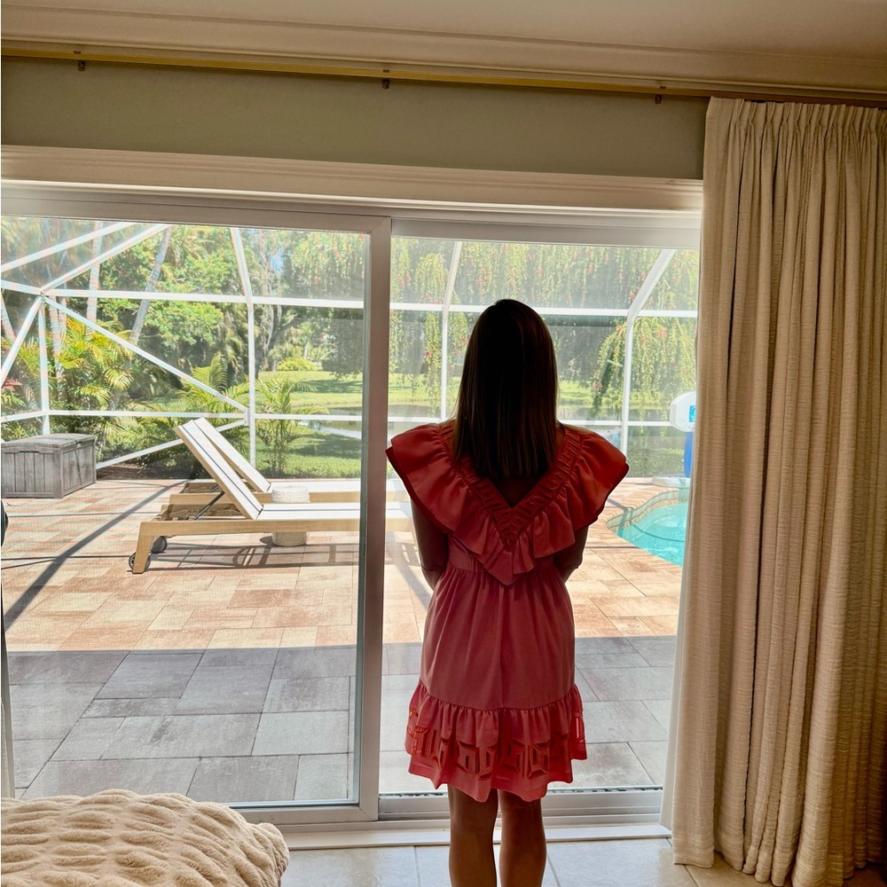 Pink Ruffled Dress - Picture 2 of 5